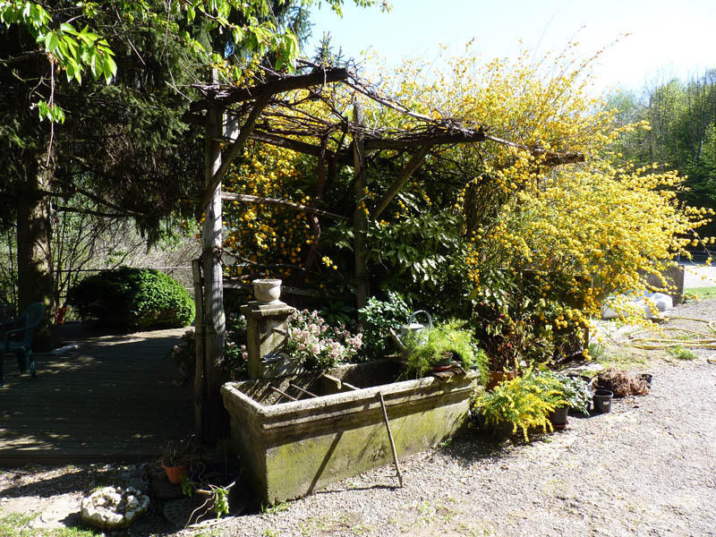 Domaine De La Safraniere - Chambre D'Hote Saint-Léger Εξωτερικό φωτογραφία