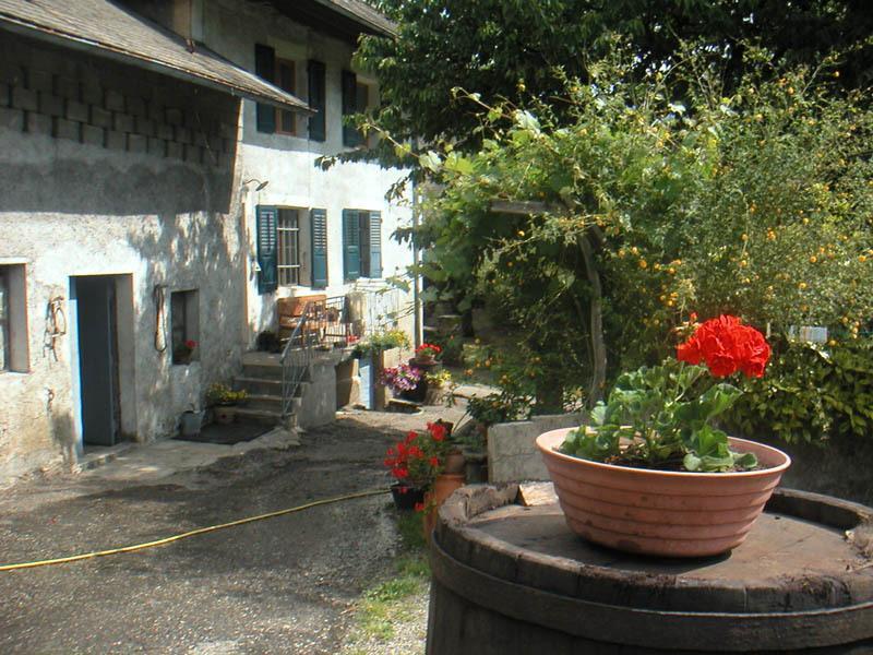 Domaine De La Safraniere - Chambre D'Hote Saint-Léger Εξωτερικό φωτογραφία