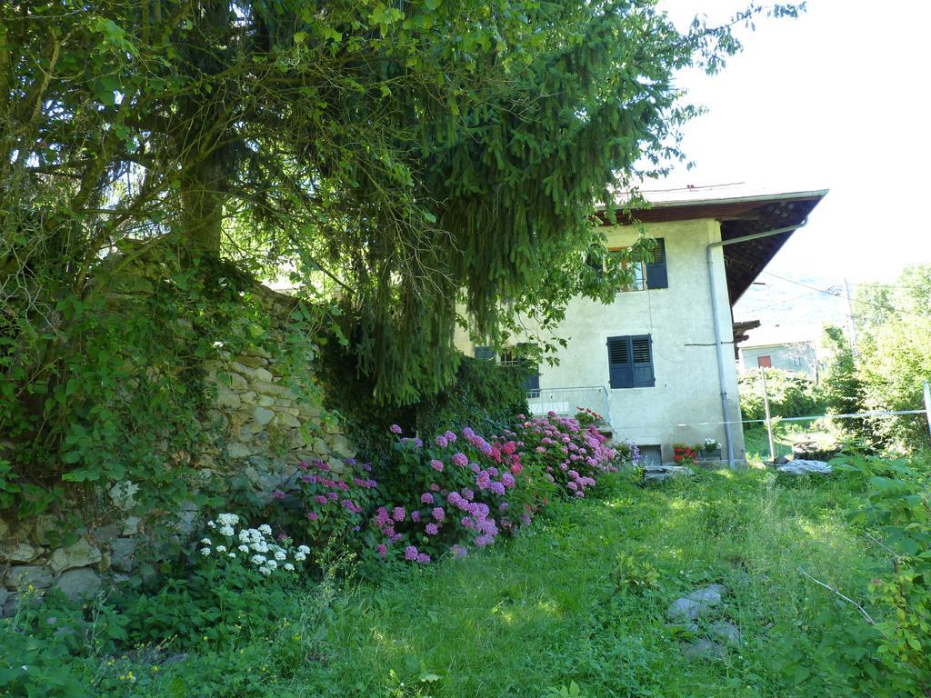 Domaine De La Safraniere - Chambre D'Hote Saint-Léger Εξωτερικό φωτογραφία