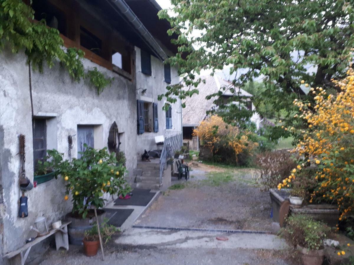 Domaine De La Safraniere - Chambre D'Hote Saint-Léger Εξωτερικό φωτογραφία